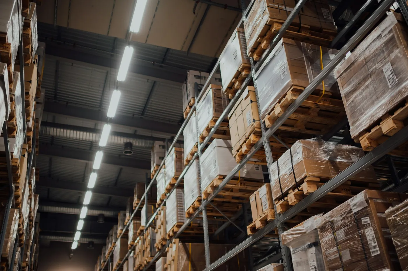 Industrie & logistique : dératisation et désinsectisation à Marseille